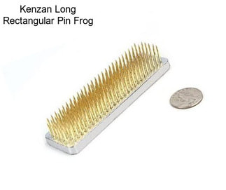 Kenzan Long Rectangular Pin Frog