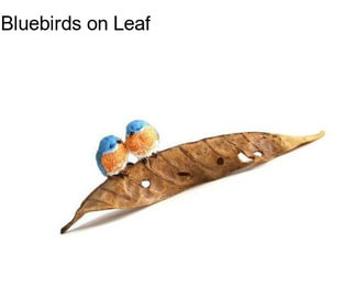 Bluebirds on Leaf