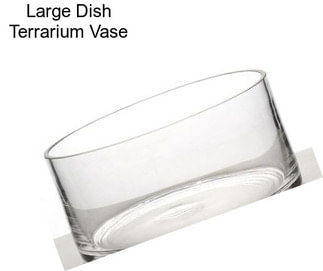 Large Dish Terrarium Vase