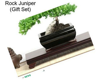 Rock Juniper (Gift Set)