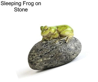 Sleeping Frog on Stone