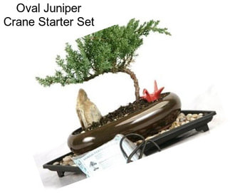 Oval Juniper Crane Starter Set