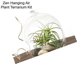 Zen Hanging Air Plant Terrarium Kit
