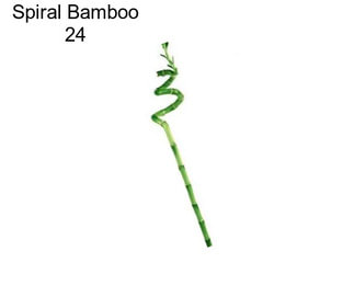 Spiral Bamboo 24\