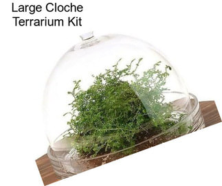 Large Cloche Terrarium Kit