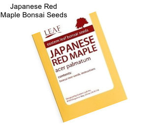 Japanese Red Maple Bonsai Seeds