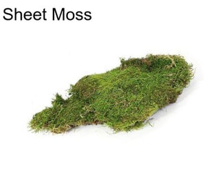 Sheet Moss