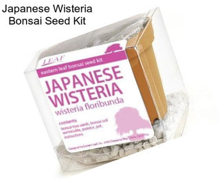 Japanese Wisteria Bonsai Seed Kit