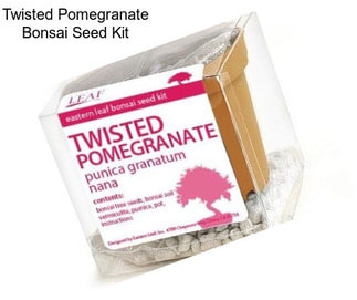 Twisted Pomegranate Bonsai Seed Kit