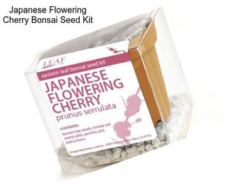 Japanese Flowering Cherry Bonsai Seed Kit