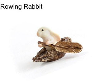 Rowing Rabbit