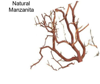 Natural Manzanita