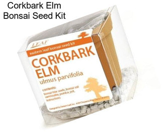 Corkbark Elm Bonsai Seed Kit