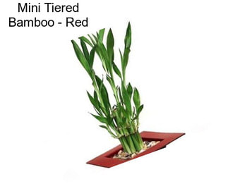 Mini Tiered Bamboo - Red