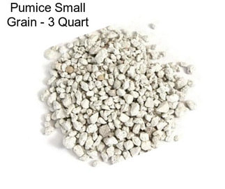 Pumice Small Grain - 3 Quart