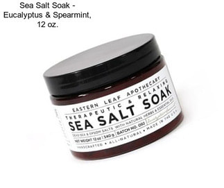 Sea Salt Soak - Eucalyptus & Spearmint, 12 oz.