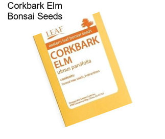 Corkbark Elm Bonsai Seeds