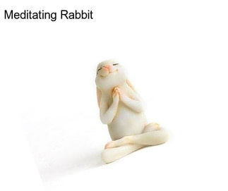 Meditating Rabbit