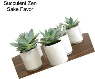 Succulent Zen Sake Favor