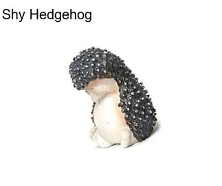 Shy Hedgehog