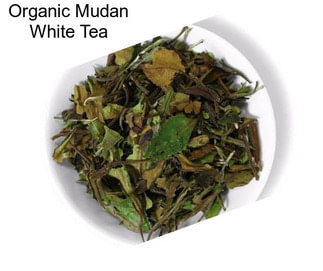 Organic Mudan White Tea