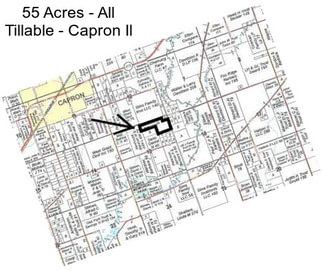 55 Acres - All Tillable - Capron Il