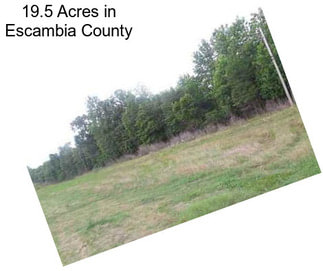 19.5 Acres in Escambia County