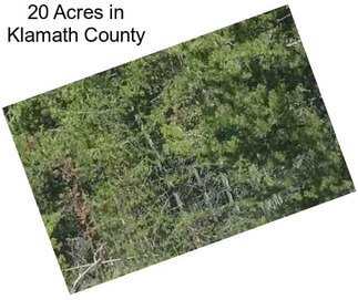 20 Acres in Klamath County