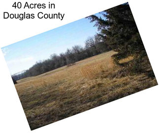 40 Acres in Douglas County