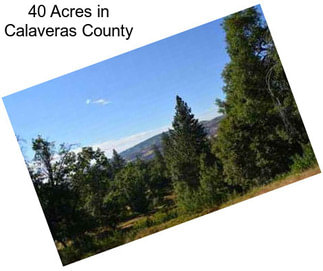 40 Acres in Calaveras County