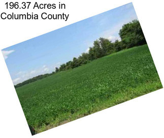 196.37 Acres in Columbia County