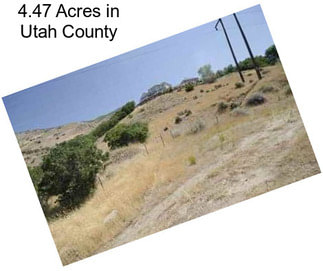 4.47 Acres in Utah County