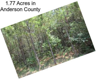 1.77 Acres in Anderson County