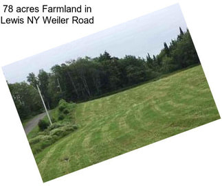 78 acres Farmland in Lewis NY Weiler Road