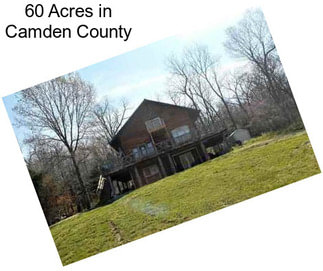 60 Acres in Camden County