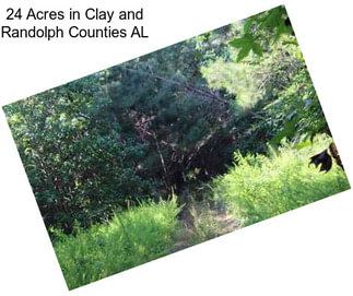 24 Acres in Clay and Randolph Counties AL