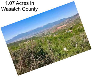 1.07 Acres in Wasatch County