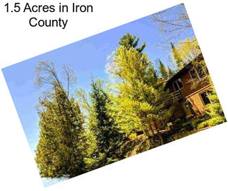 1.5 Acres in Iron County