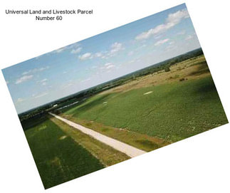 Universal Land and Livestock Parcel Number 60