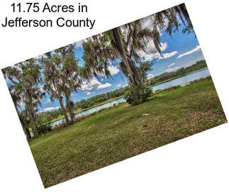 11.75 Acres in Jefferson County