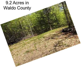 9.2 Acres in Waldo County