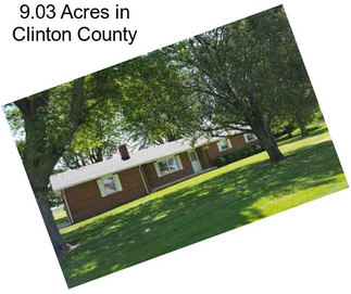 9.03 Acres in Clinton County