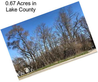 0.67 Acres in Lake County