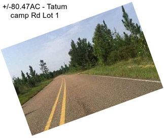 +/-80.47AC - Tatum camp Rd Lot 1