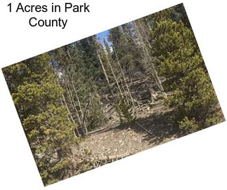 1 Acres in Park County