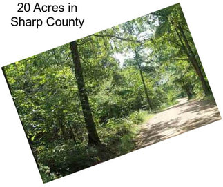 20 Acres in Sharp County