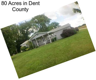 80 Acres in Dent County