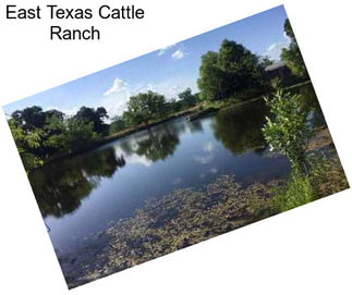 East Texas Cattle Ranch