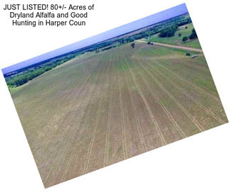 JUST LISTED! 80+/- Acres of Dryland Alfalfa and Good Hunting in Harper Coun