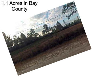 1.1 Acres in Bay County